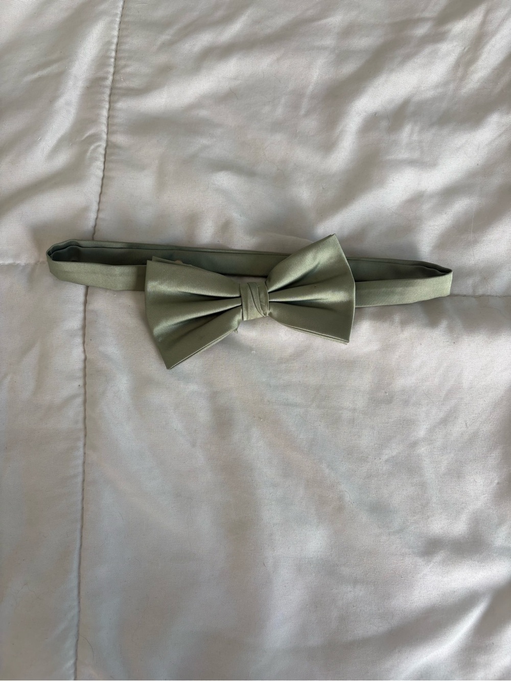 Amazon Men's Bow Tie in Sage Green
